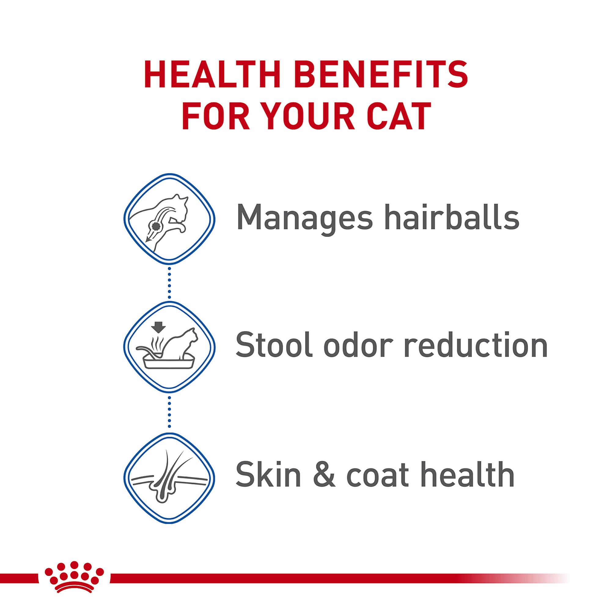 Royal Canin Indoor Long Hair Adult Dry Cat Food, 6 lb bag