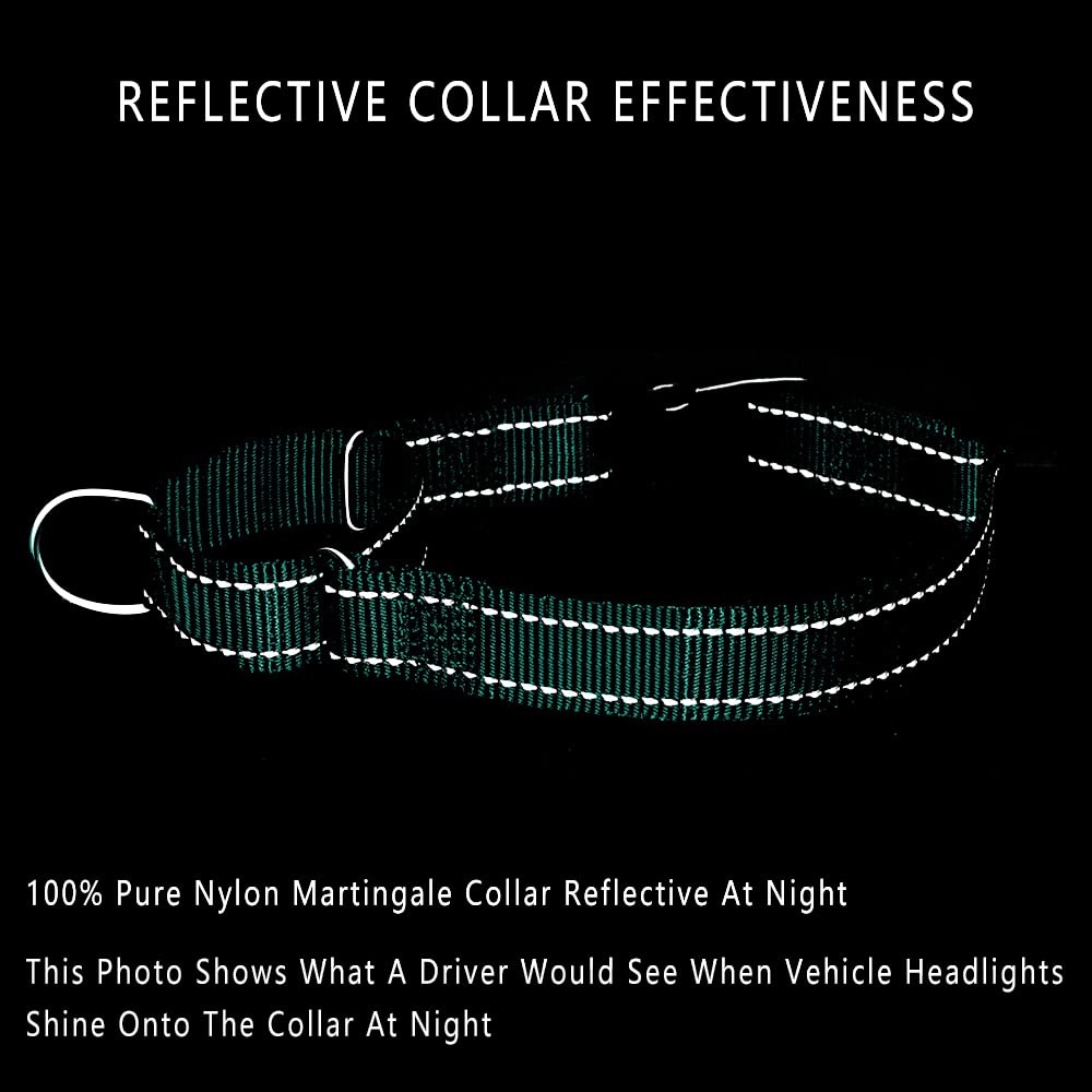 Plutus Pet Reflective Martingale Collar With Buckle - Durable And Adjustable Training Collar For No Pulling, Dog Choker Collar For Small Medium Large Dogs, Teal, S