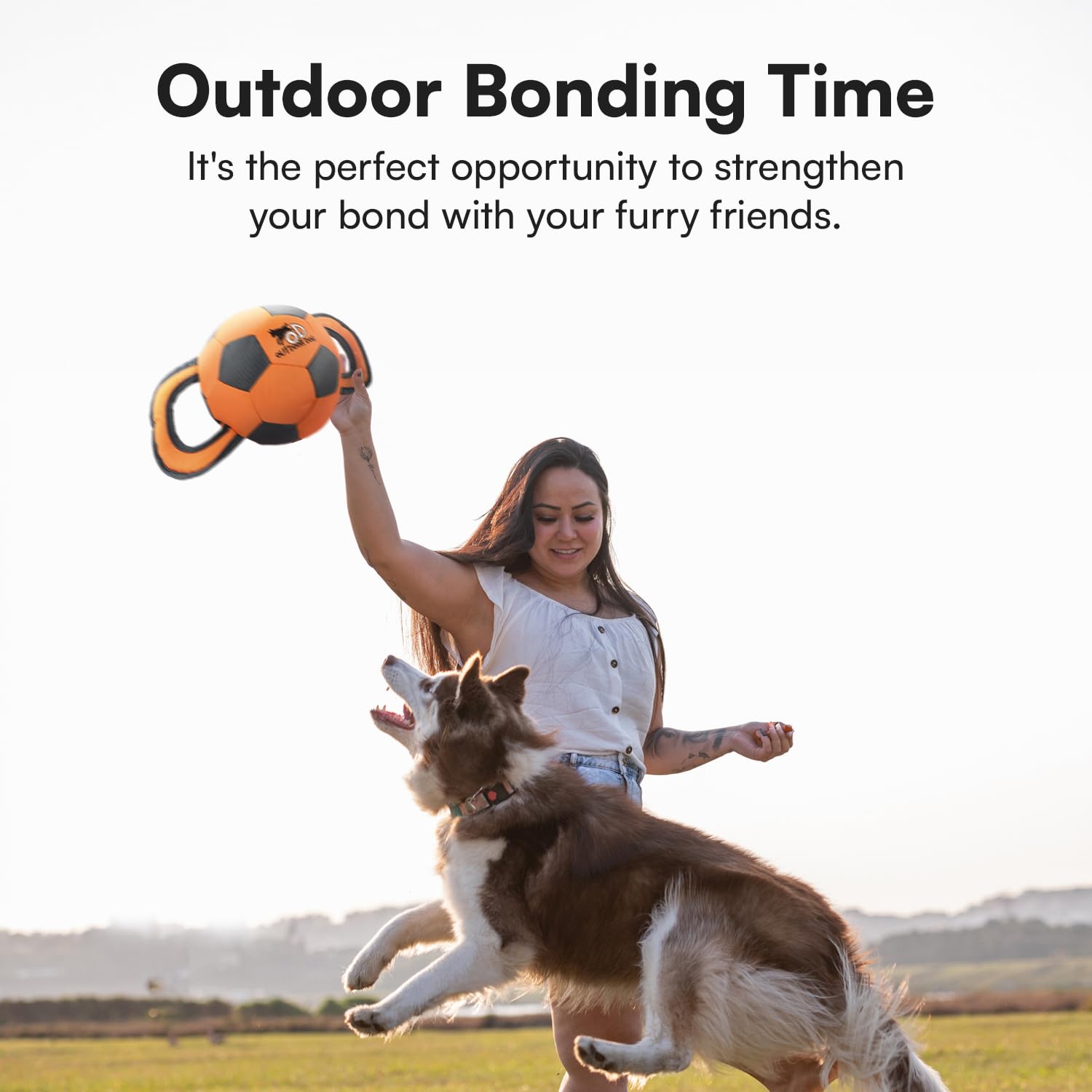 All For Paws Ballistic Handle Ball