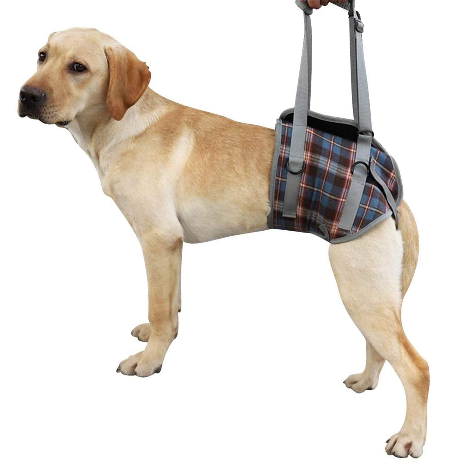 Rozkitch Dog Lift Harness, Grid Pet Rear Support Aid Veterinarian Approved Sling For Old K9 Help With Poor Stability, Back Leg H