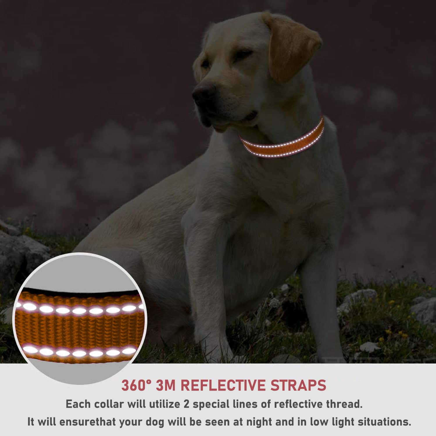 Reflective Dog Collar With Buckle Adjustable Safety Nylon Collars For Small Medium Large Dogs, Orange L