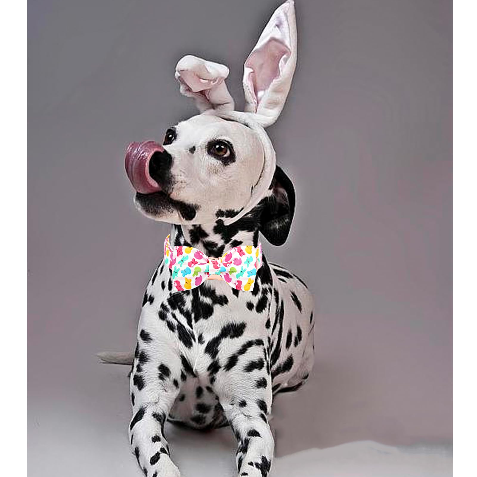 Lionheart Glory Dog Bow Collar Easter Day Dog Collar For Small Dogs,Easter Rabbits Colorful Dog Collars With Bowtie Spring Bunni