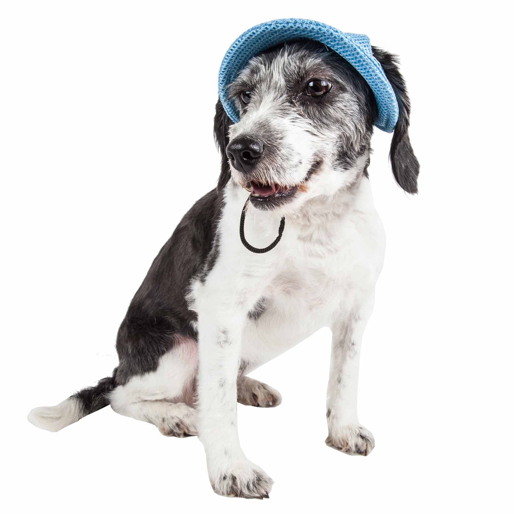 Pet Life  Sea Spot Sun Mesh Dog Hat with UV Coverage Protection - Brimmed Pet Hats for Dogs Provides More Shade Than a Dog Ban