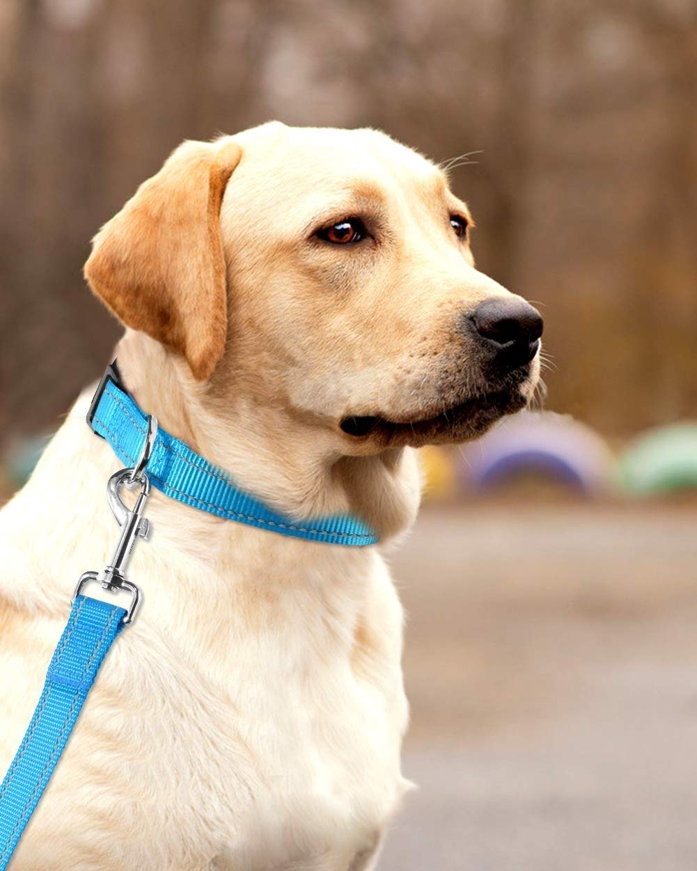 Reflective Dog Collar With Buckle Adjustable Safety Nylon Collars For Small Medium Large Dogs, Blue L