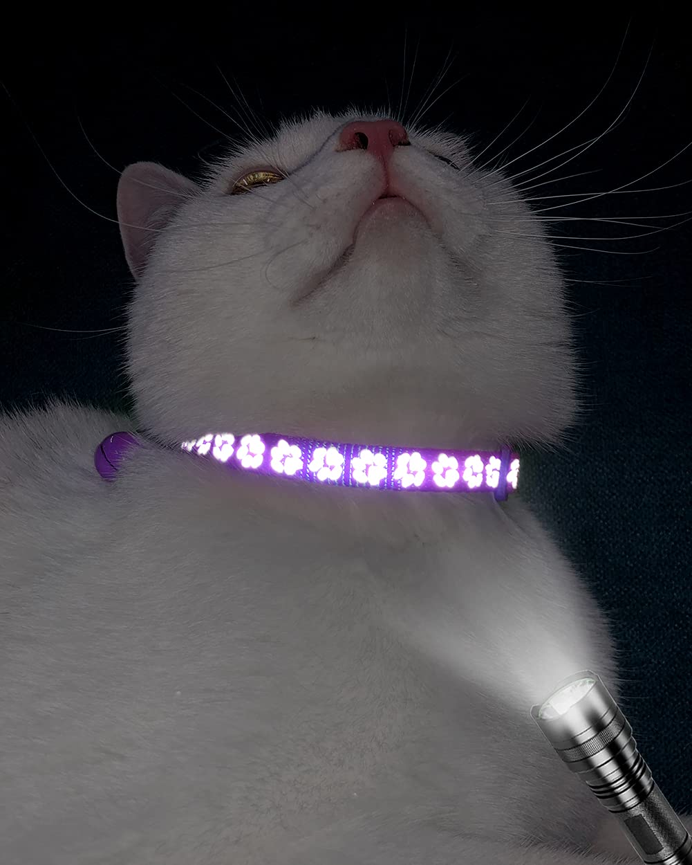 Taglory Reflective Cat Collars Breakaway With Bell, 2-Pack Girl Boy Pet Kitten Collar Adjustable 7.5-12.5 Inch, Purple