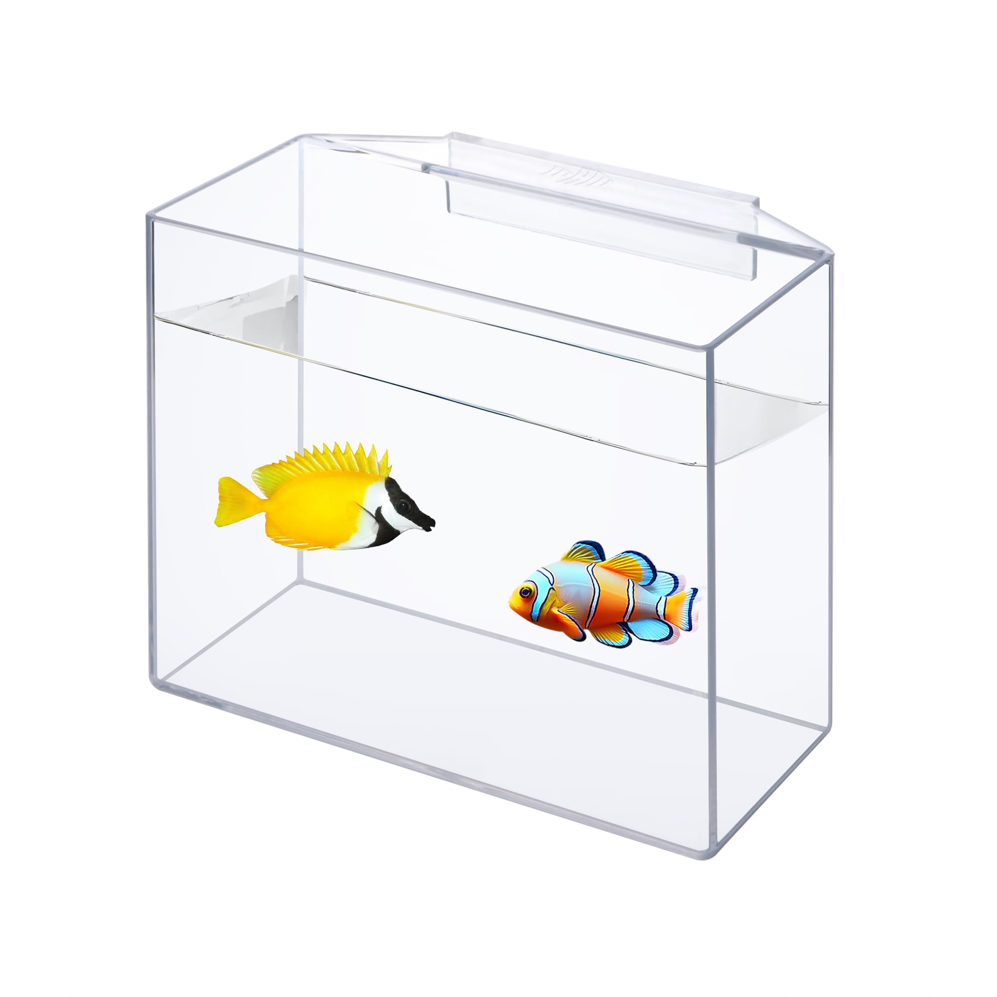 IOAOI Drip Acclimation Container for Fish & Corals - Hanging Acclimation Box for Saltwater & Freshwater Aquariums, Large