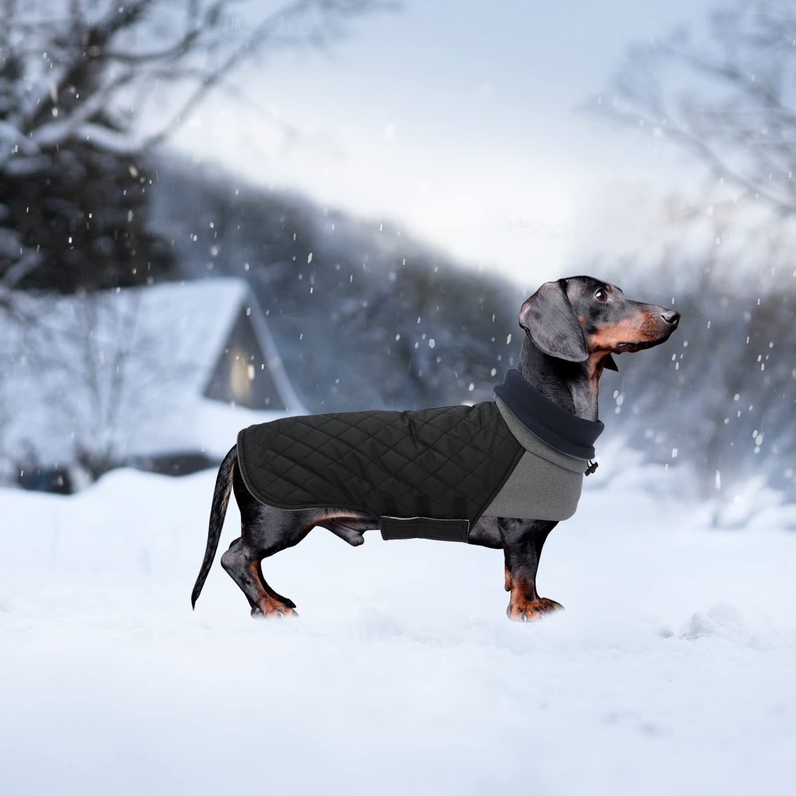 Geyecete Dachshund Coat Winter,Warm Dachshund Coat Waterproof Windproof, High Neckine String Holes Miniature Dachshund Jacket Fo