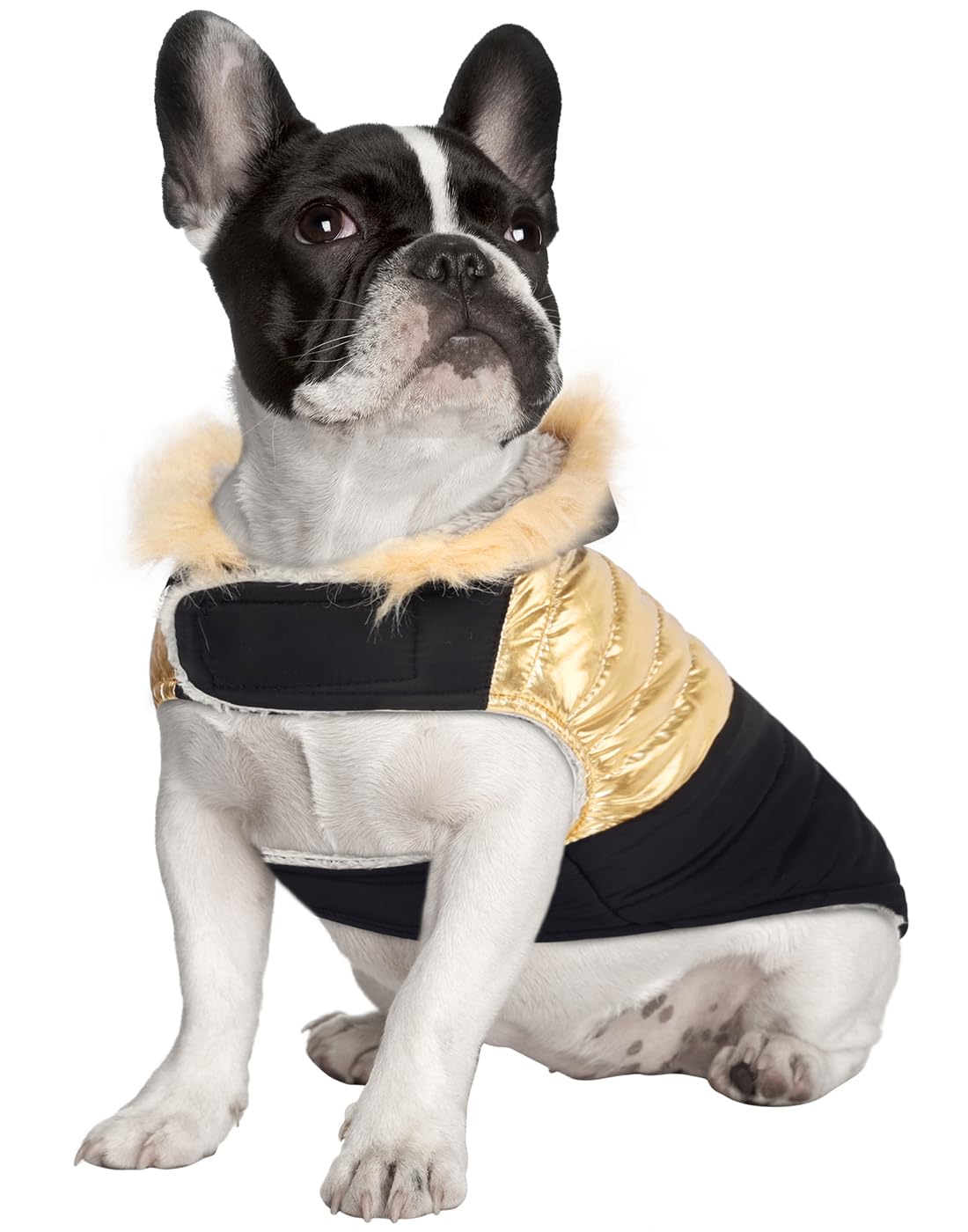 Hde Dog Puffer Jacket Fleece Lined Warm Dog Parka Winter Coat With Harness Hole 90S Black And Gold Metallic - S