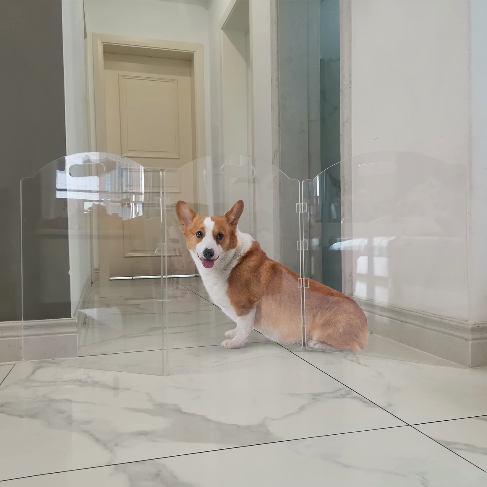 Feoyoho Clear Acrylic 3-Panel Freestanding Dog Gate - 60''W x 24''H, Folding Barrier for Indoor Use, Ideal for Dogs and Cats