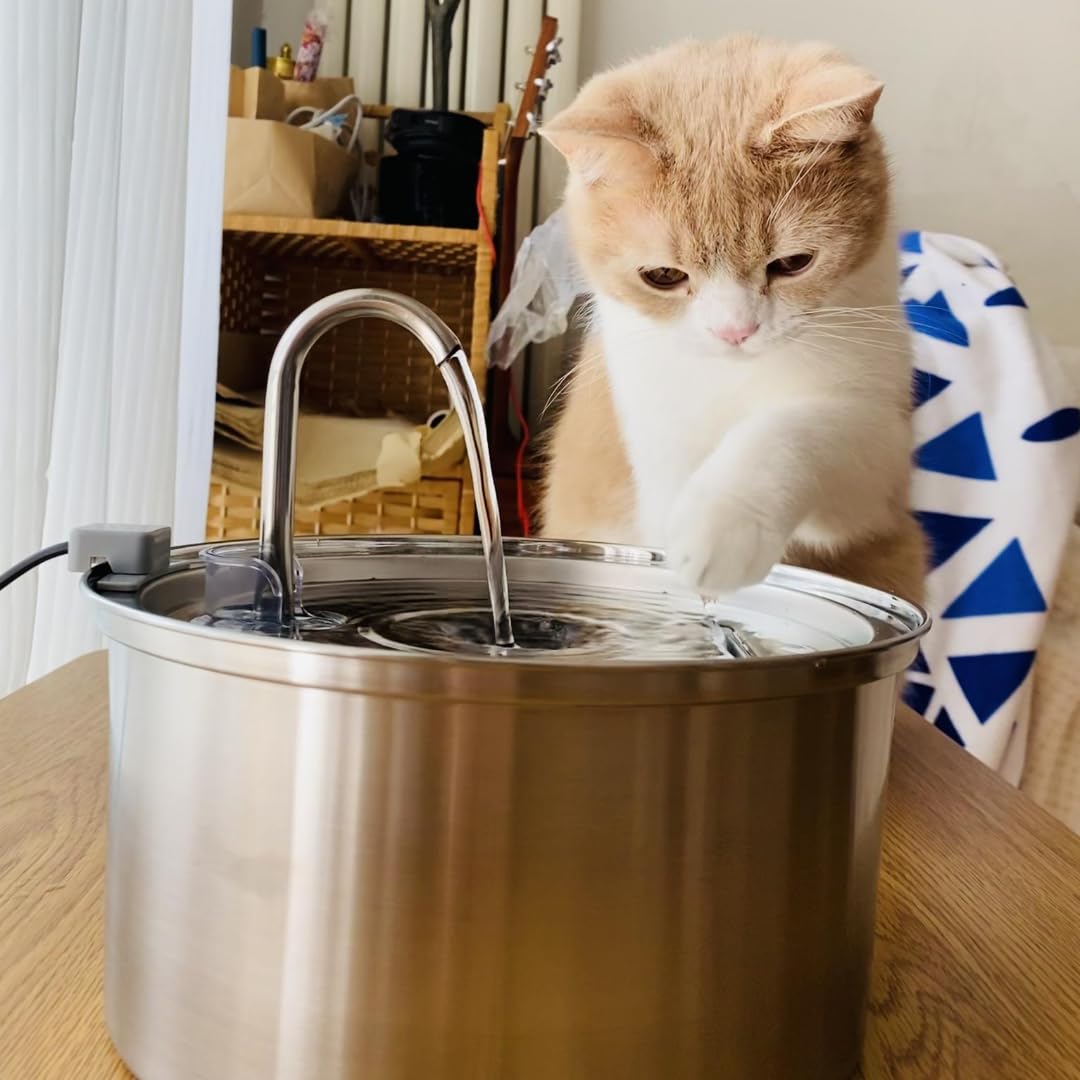 KittySpout Stainless Steel Cat Water Fountain Automatic Drinking Fountain, Quiet Circulating Water Bowl, Dishwasher Safe, Indoor