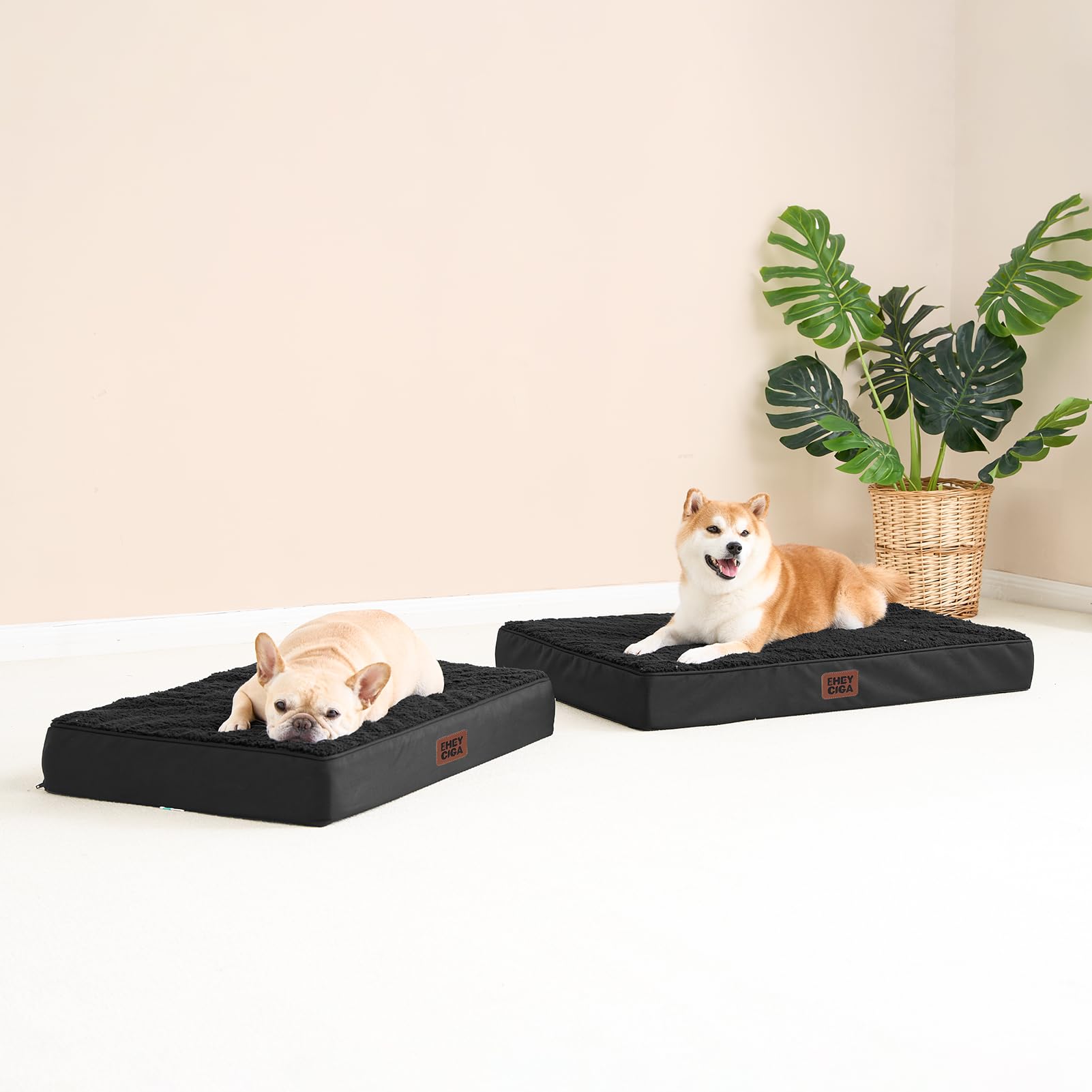 Eheyciga Orthopedic Medium Dog Beds For Small Dogs With Removable Washable Cover For Crate, Black, 30X20