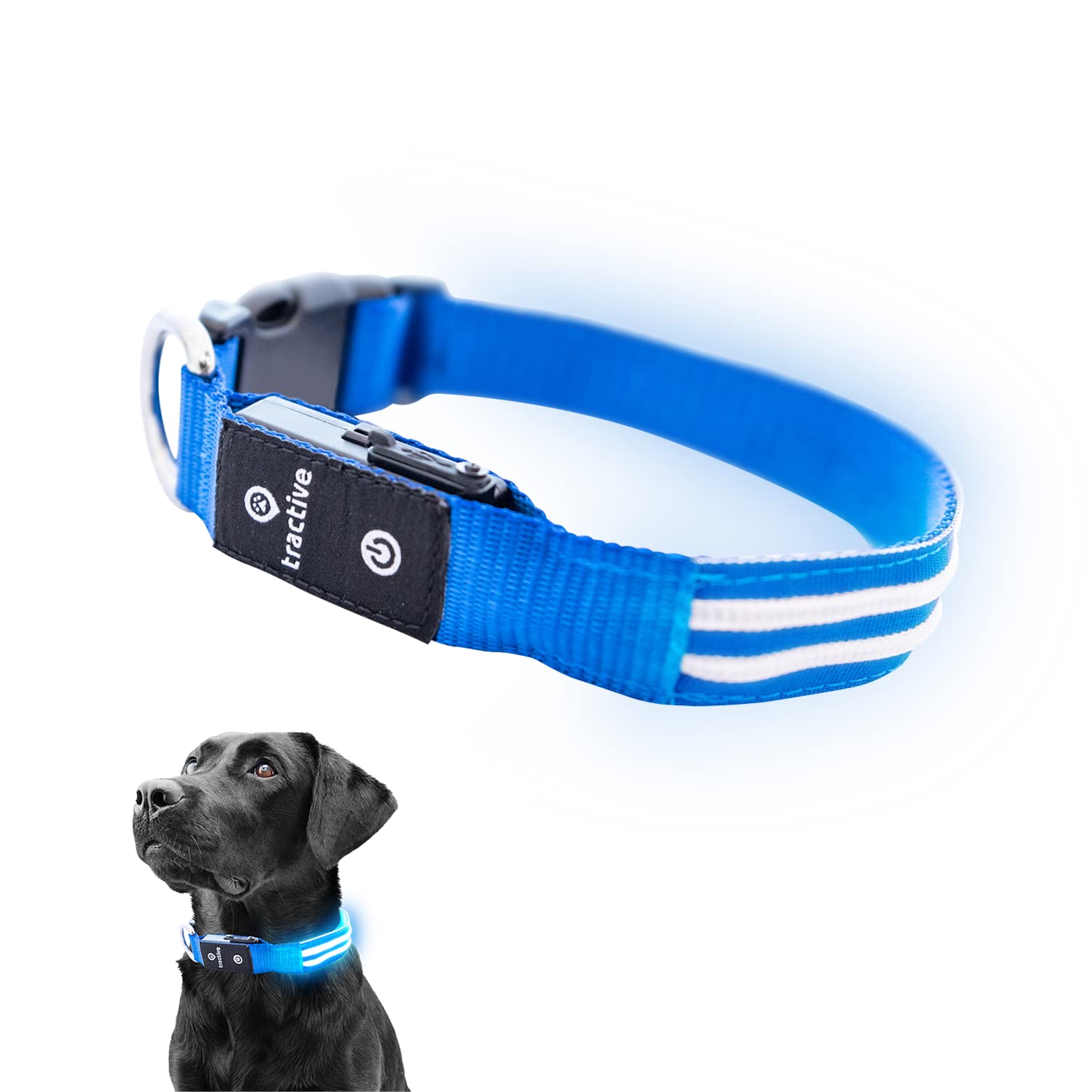 Tractive Led Light Up Dog Collar Usb Rechargeable Waterproof (Blue), Medium