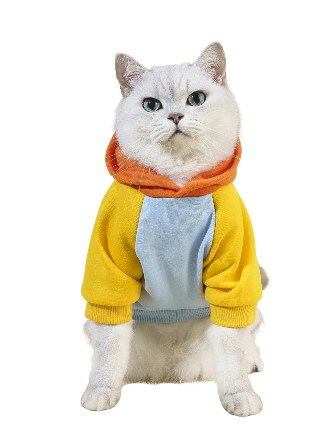 Qwinee Basic Dog Hoodie, Warm Jacket, Cat Apparel, Shirt, Clothes For Puppy Kitten Small Medium Dogs Cats - Orange And Blue Smal