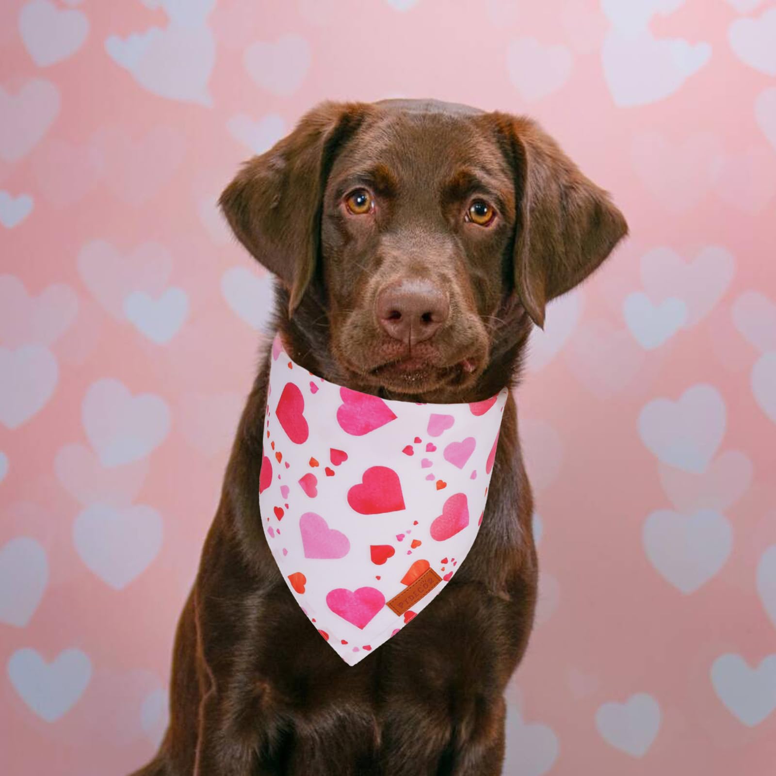 Ptdecor Valentine Dog Bandana, White Purple Love Heart Design Reversible Dog Scarf, Triangle Valentine Bandanas For X-Large Pets