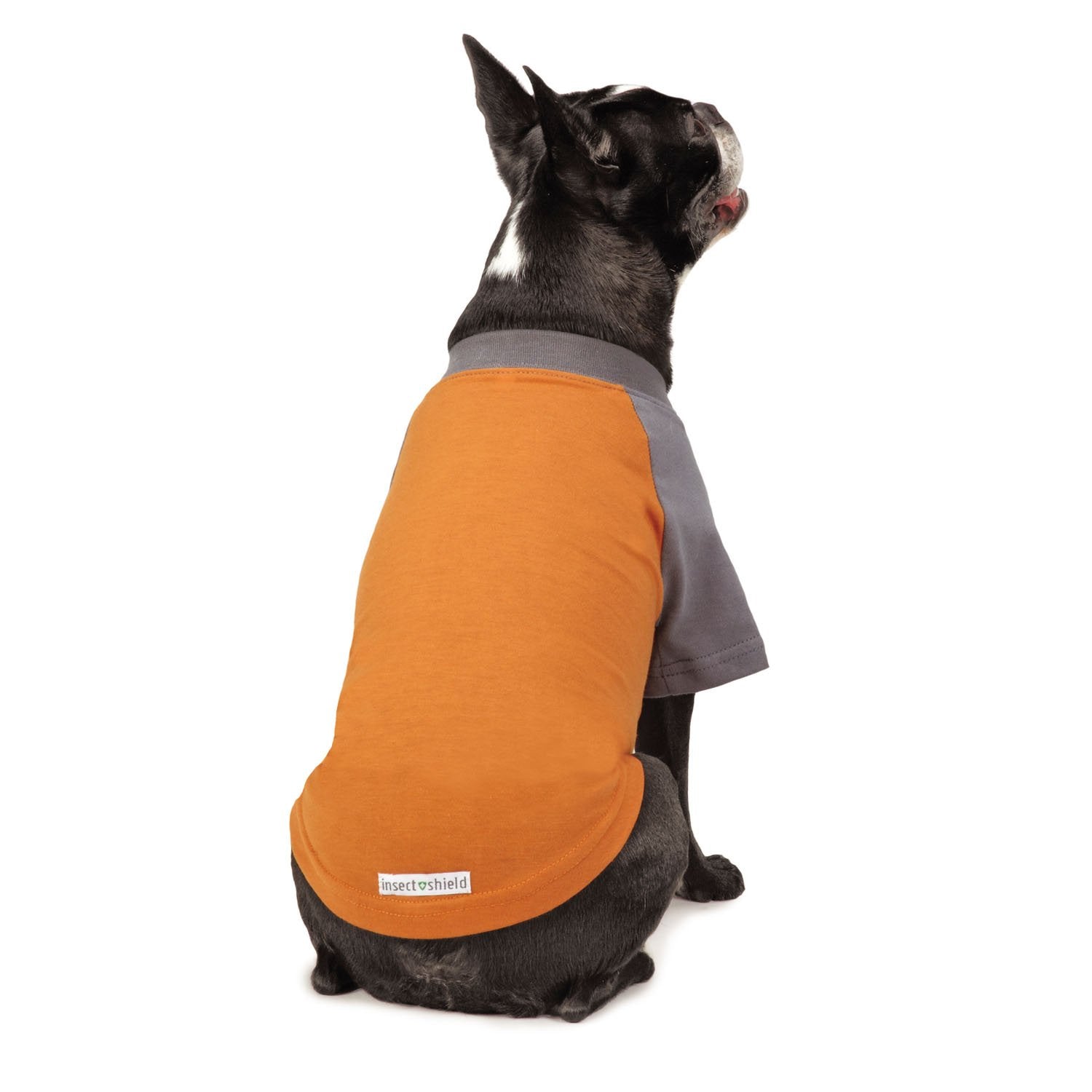 Insect Shield Insect Repellant Premium T-Shirt for Protecting Dogs from Fleas, Ticks, Mosquitoes, Orange, X-Small, 1 Count (Pack