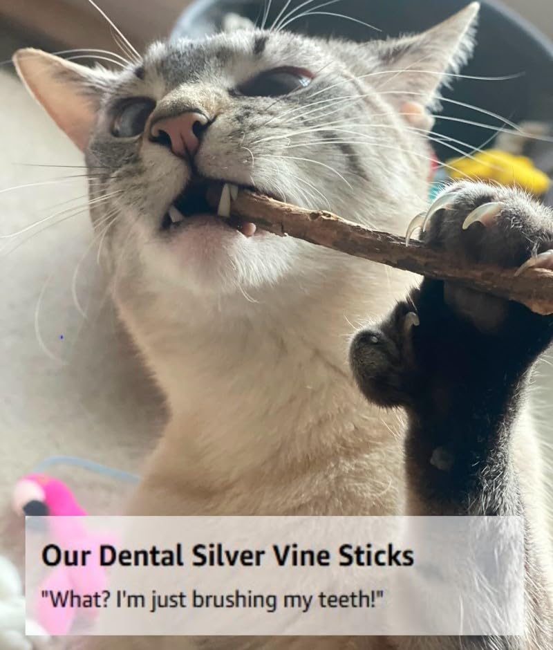 From The Field Silver Vine Sticks for Cats - Natural Dental Chew, 5 Count, Wood, FFC333, Catnip Alternative, USA-Made