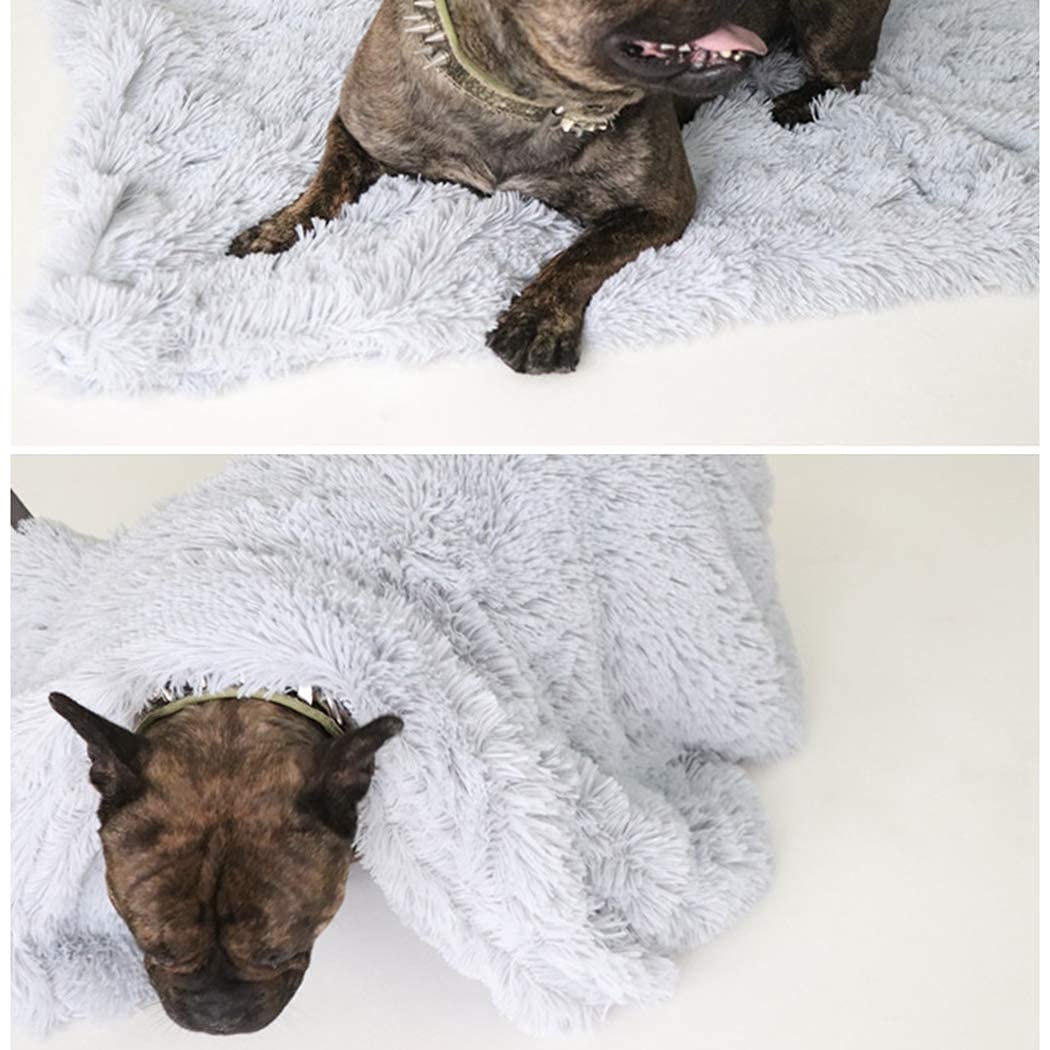 ubersweet Imported Plush Pet Blanket Soft DoubleSided Creative Warm Dog Blanket Puppy Bed Blanket Plush Dog Blanket for Cats_14