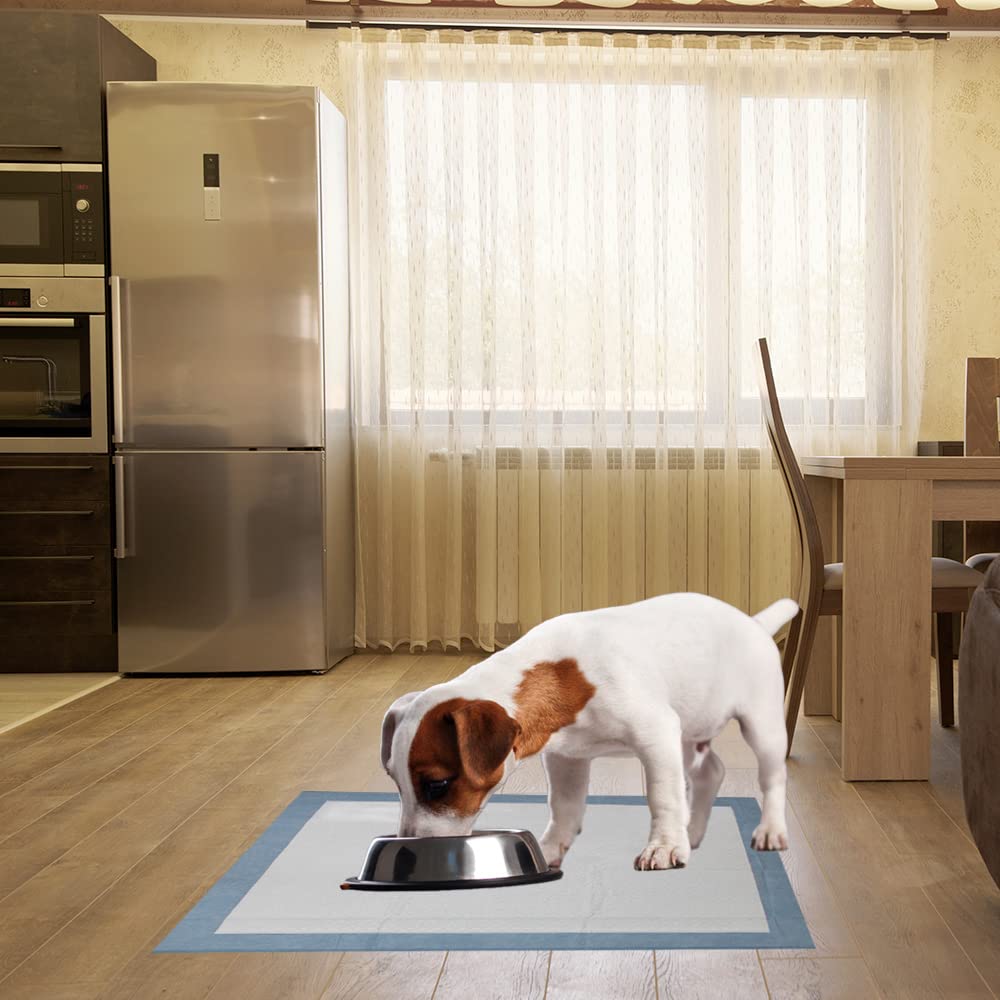 BV Pet Training Pads for Dogs, X-Large 28" x 34", 20-Count Disposable Blue Dog Pee Pads, Quick Absorb, Model BV-PE-PAD-34-20