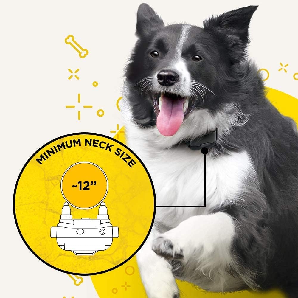 Dogtra Iq Plus