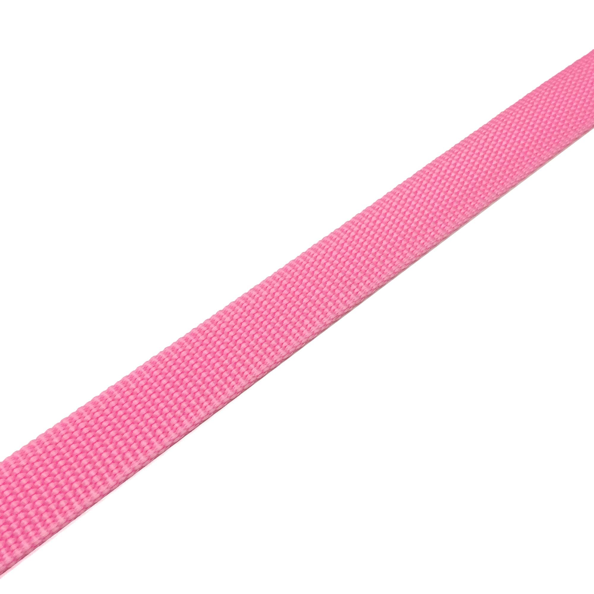 Taian 4 Ft Strong Dog Leash, Nylon Dog Leashes For Small Medium Large Dogs