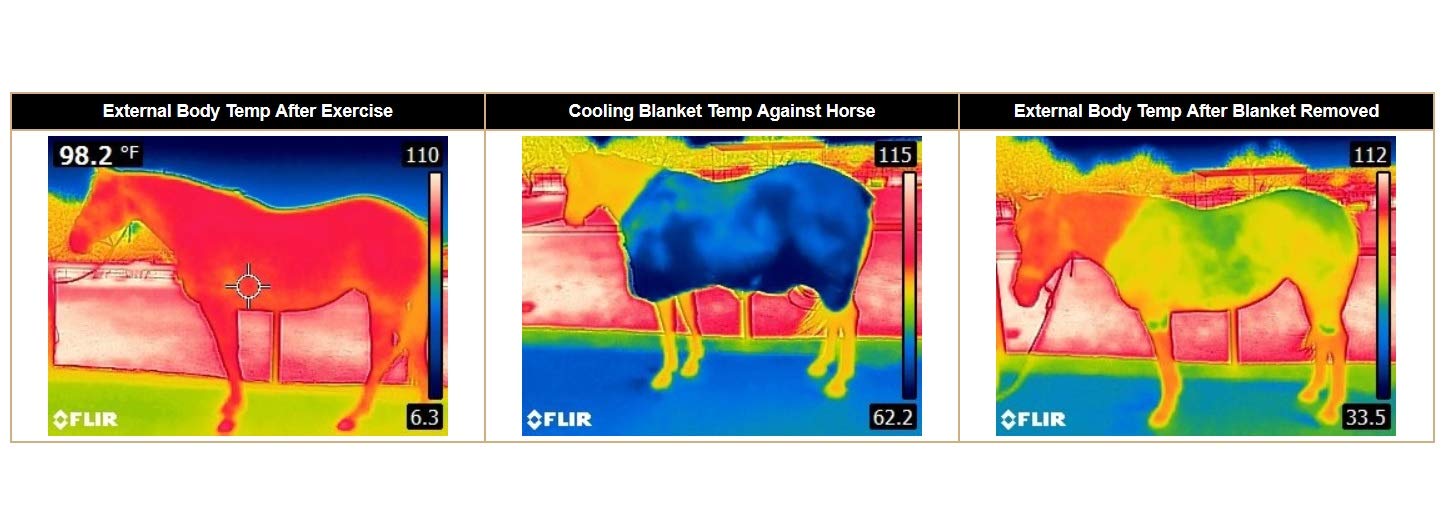 Weaver Leather CoolAid Equine Cooling Blanket (84, Turquoise)