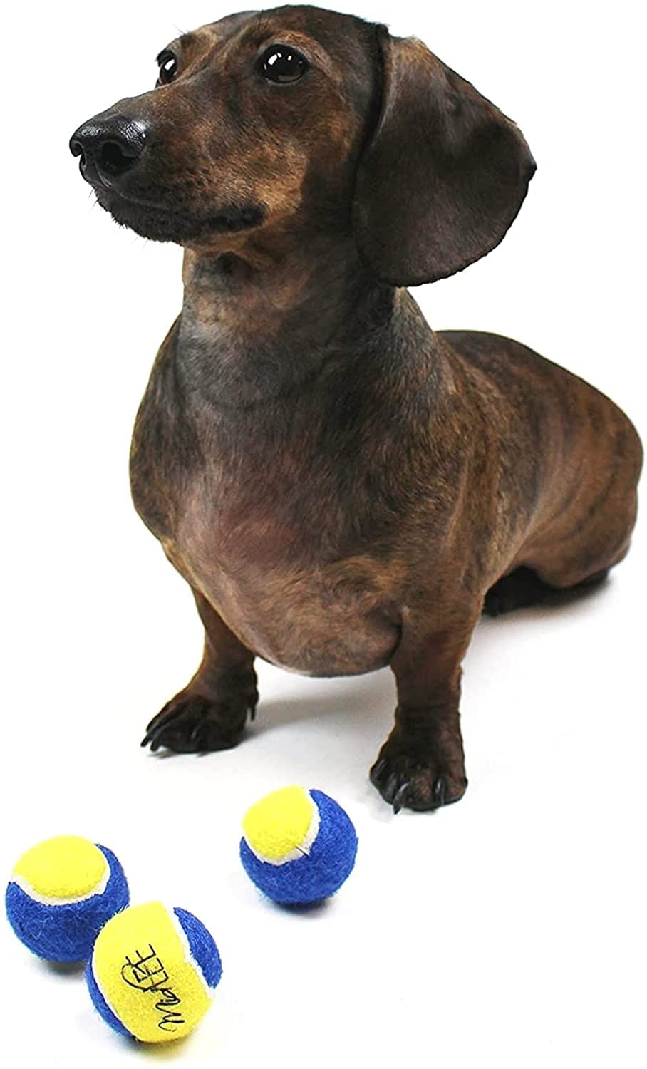 Midlee Mini Dog Tennis Balls - Blue/Yellow- Pack Of 4