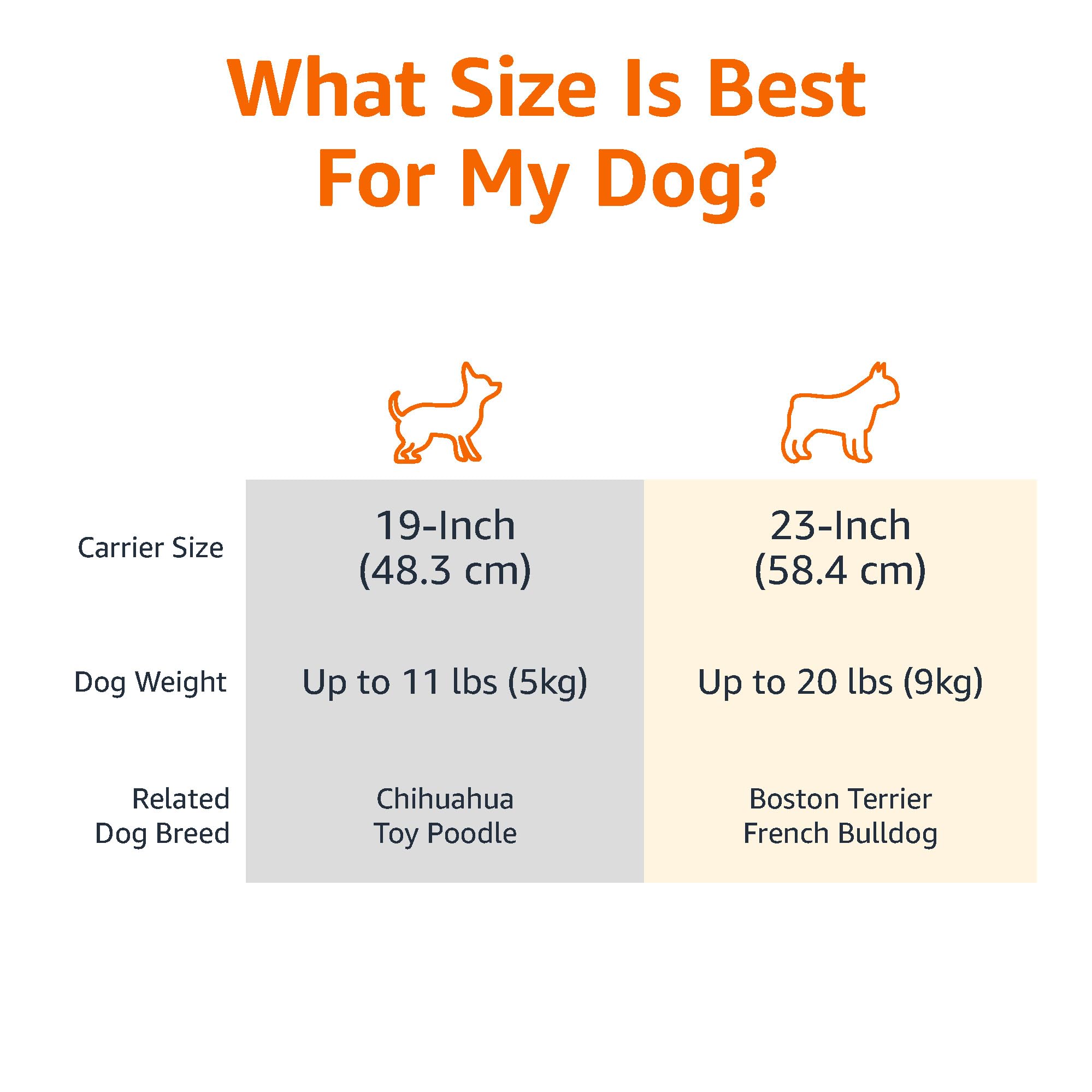 Amazon Basics 2-Door Top-Load Hard-Sided Cat Pet Travel Carrier, 19.0 L x 12.6 W x 10.0 H, Gray & Blue