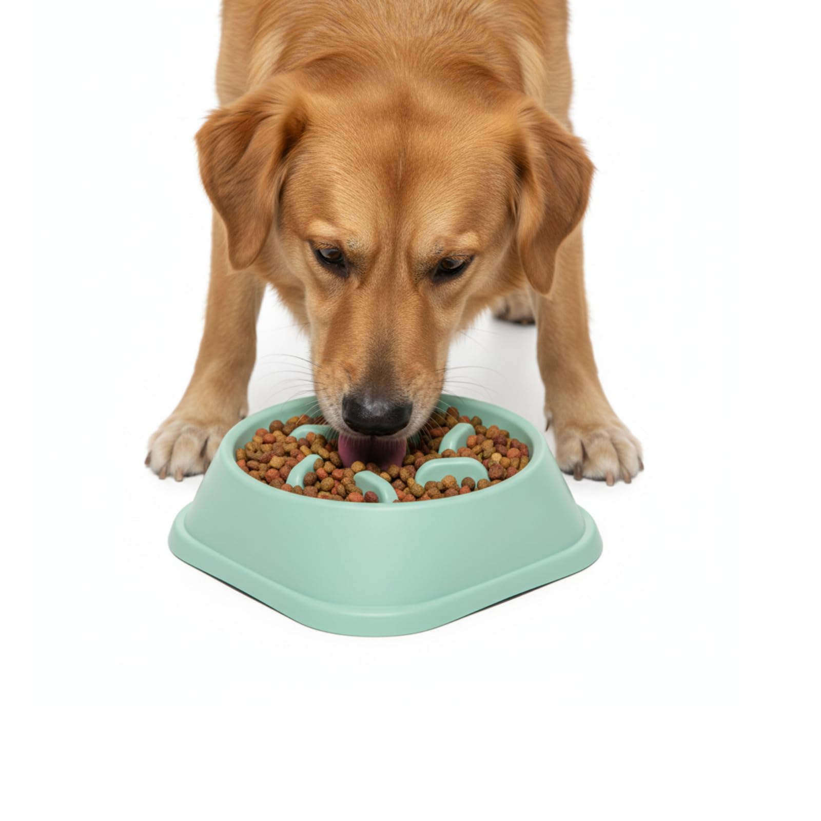 Kittupet Slow Feeder Pet Bowl | AntiChoke Pet Feeding Bowl For Large, Medium & Small Dogs | Interactive NonSlip Slow Eating Bo