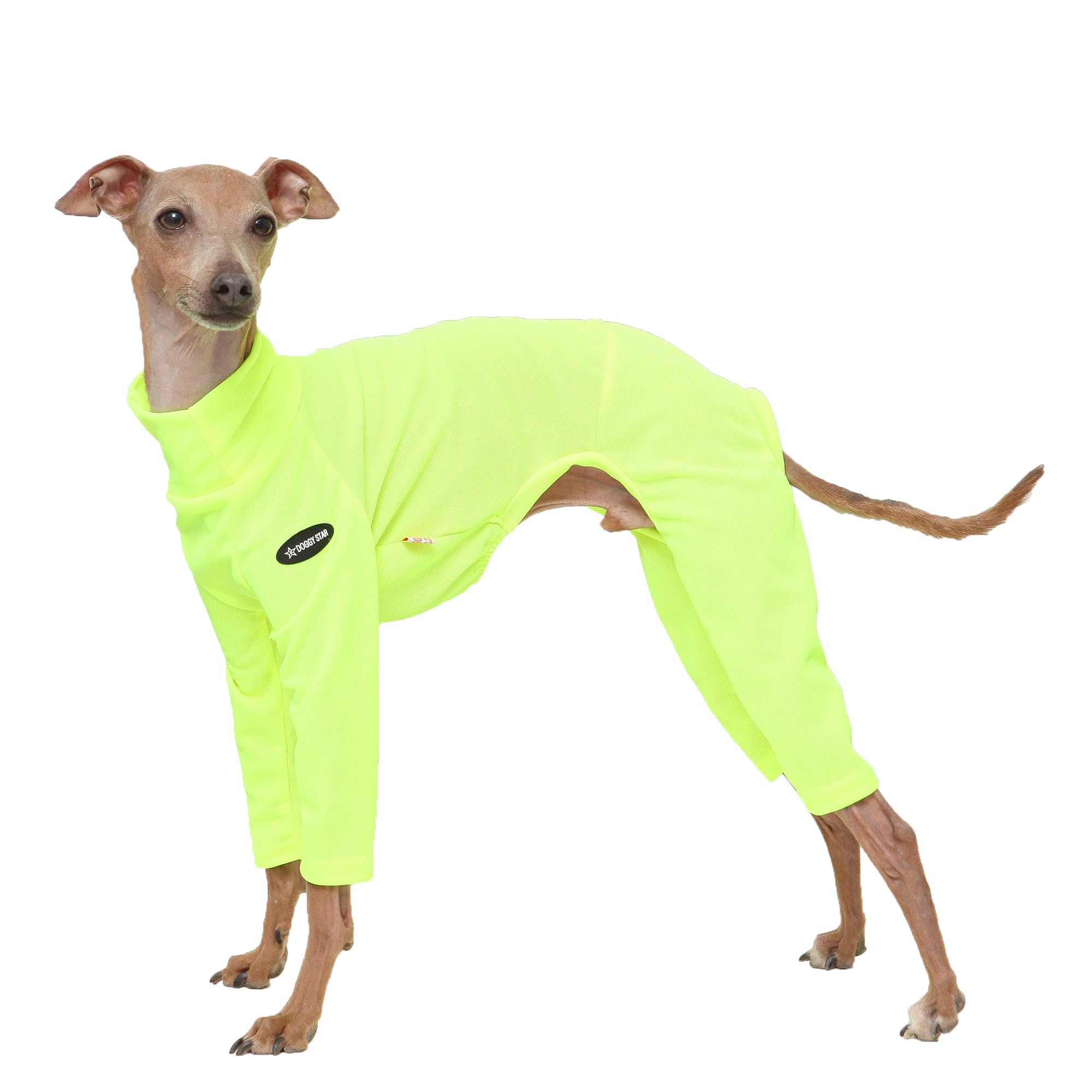 D Doggy Star Italian Greyhound Clothes Strechy Neon Onsie Spring Summer (M,Onsi Ne Yellow)