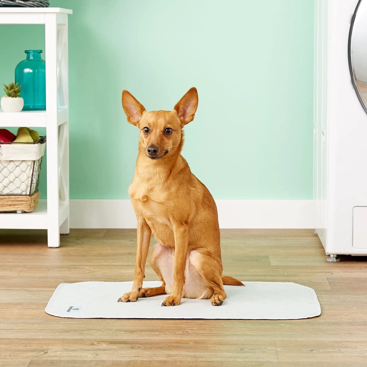 Pet Parents® Pawtect® Pads Washable Pee Pads For Dogs (2Pack) Of Premium Dog Pee Pads, Waterproof Puppy Pads & Reusable Dog Pads, Whelping Pads & Modern Pee Pads For Dogs (Tan/Grey, 24X36)