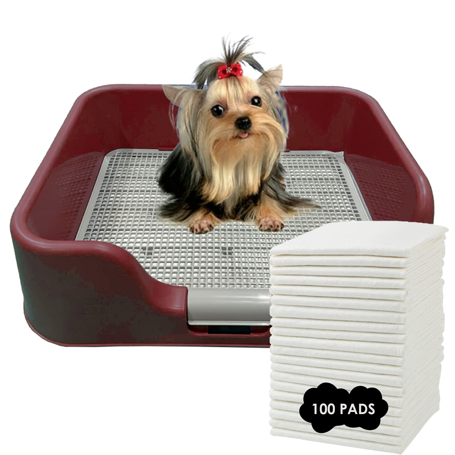 PS KOREA] Indoor Dog Potty Tray - with Protection Wall Every Side for No Leak, Spill, Accident - Keep Paws Dry and Floors Clean 