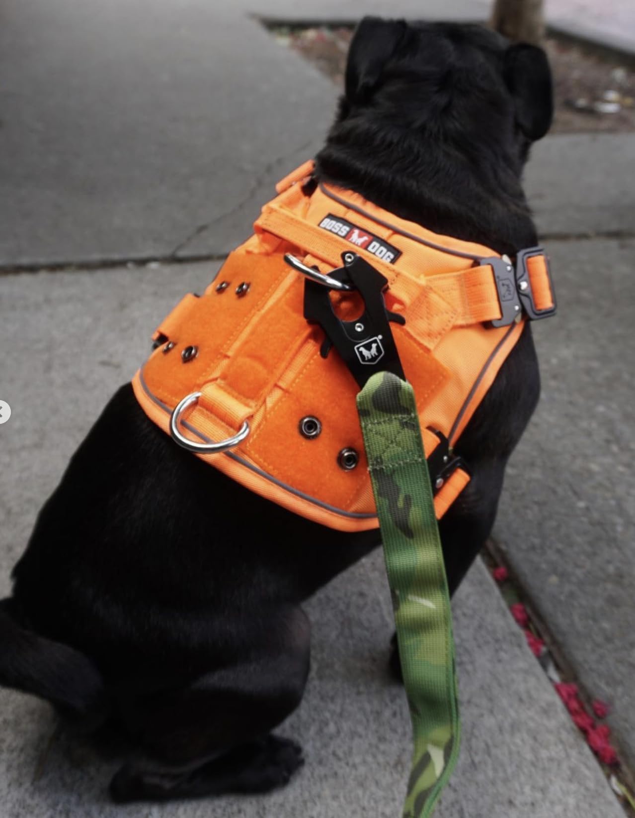 Boss Dog Tactical Harness, Orange, Large