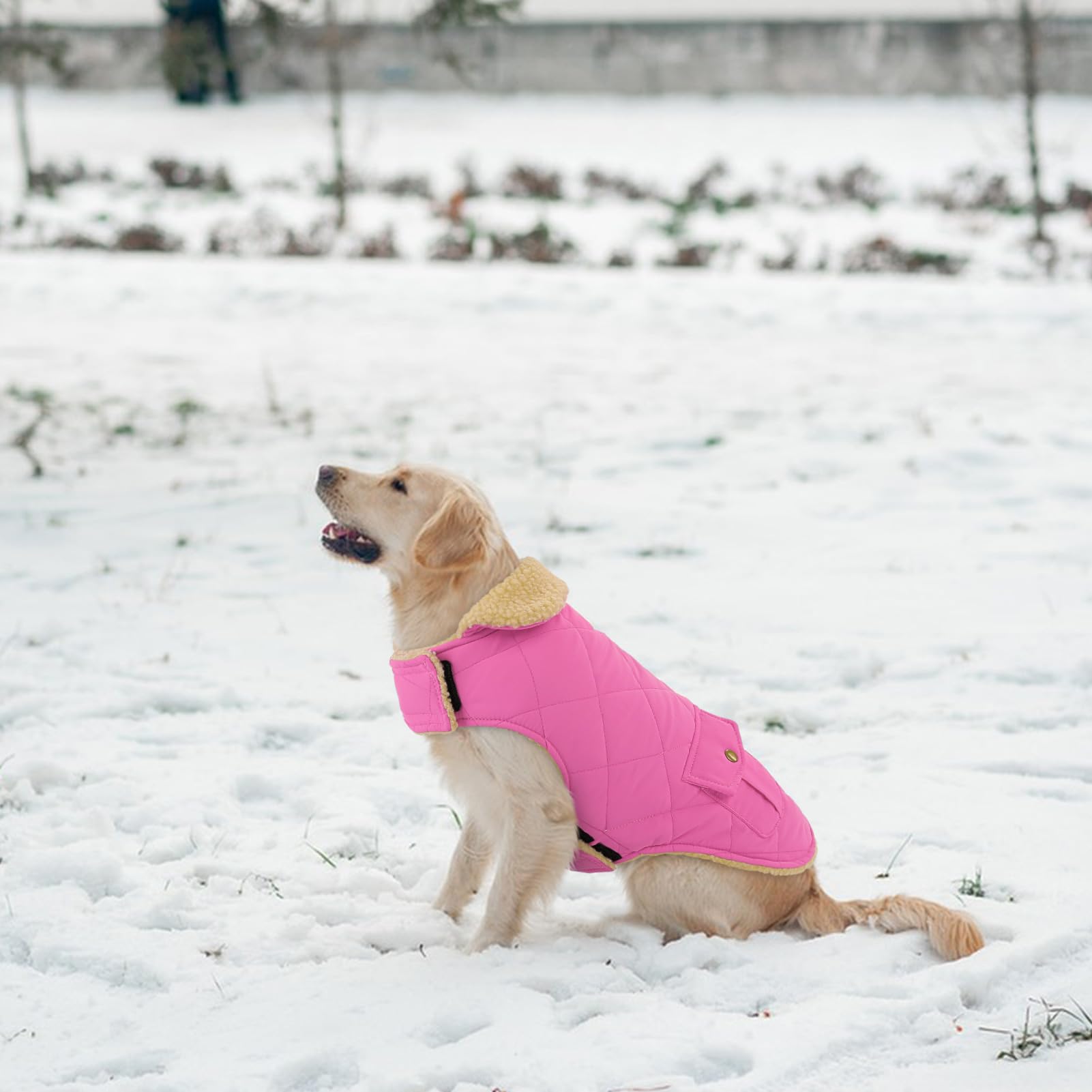 Winter Coat For Medium Dogs, Puppy Plaid Jacket, Cotton Coat For Cold Weather, Windproof Warm Dog Garments, Pet Thickened Outfit