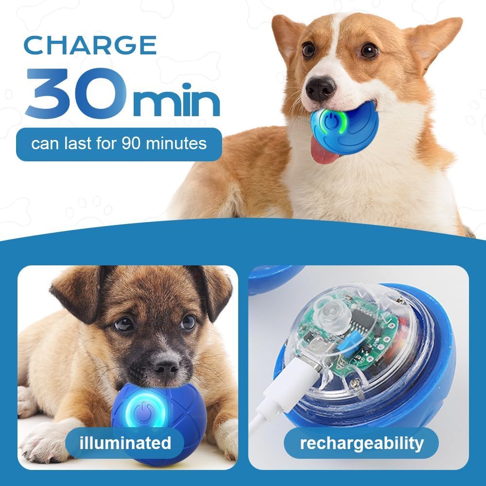 AMATFFUG 2 Packs Smart Jumping Ball for Dogs,2025 New Vibrating DogBall, Smart Jumping Ball DogToy, Interactive DogBall, Shaky B