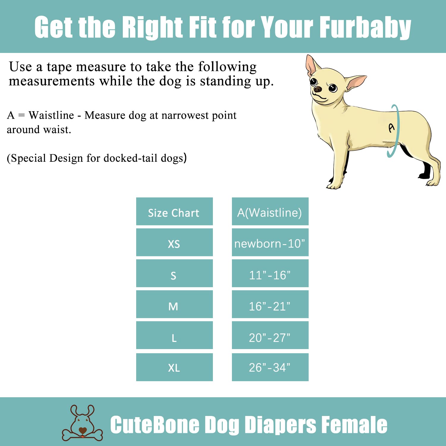 Cutebone Washable Dog Diapers Female No Tail Hole 3 Pack Reusable Doggie Period Training Pants For Docked-Tail Frenchie French Bulldog Boston Terrier Without Tail Wwd18M