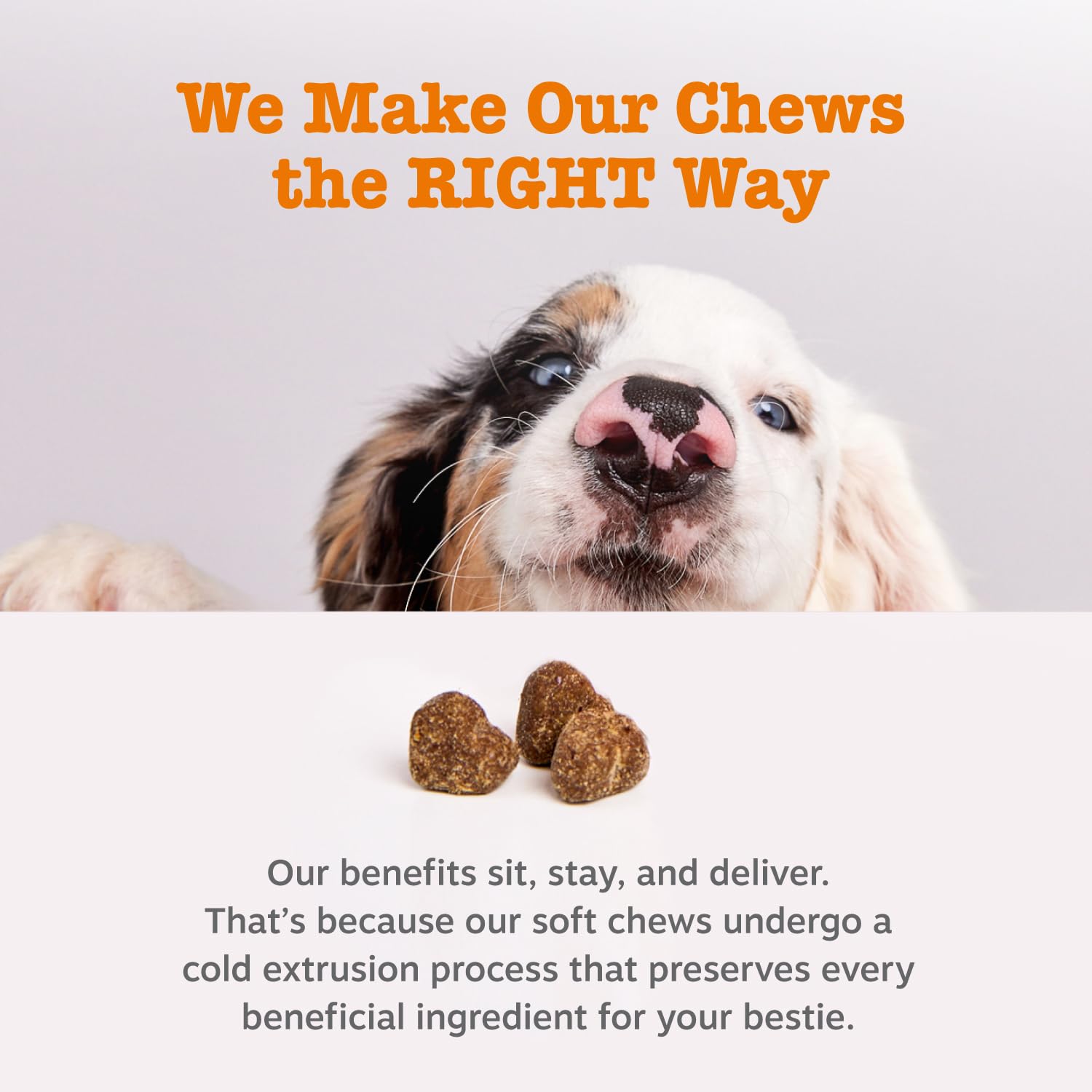 Zesty Paws Probiotics for Dogs, Digestive Enzymes Gut Flora, Digestive Health, Diarrhea & Bowel Support, DE111, Dog Probiotics S