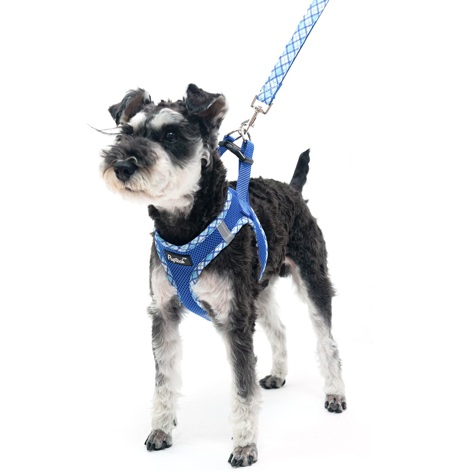 Pupteck Dog Harness And Leash Set For Small Medium Dogs No Pull Step-In Soft Mesh Puppy Cat Vest Harnesses Reflective At Night, Blue S