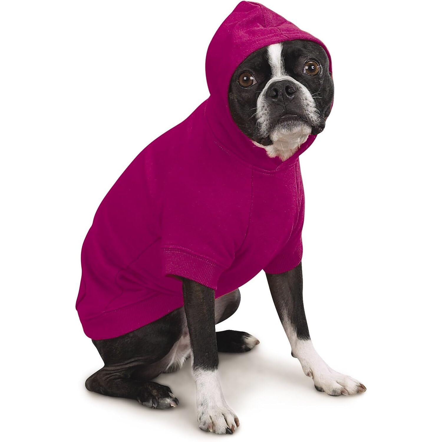 Zack & Zoey Basic Hoodie For Dogs, 16' Medium, Raspberry Sorbet