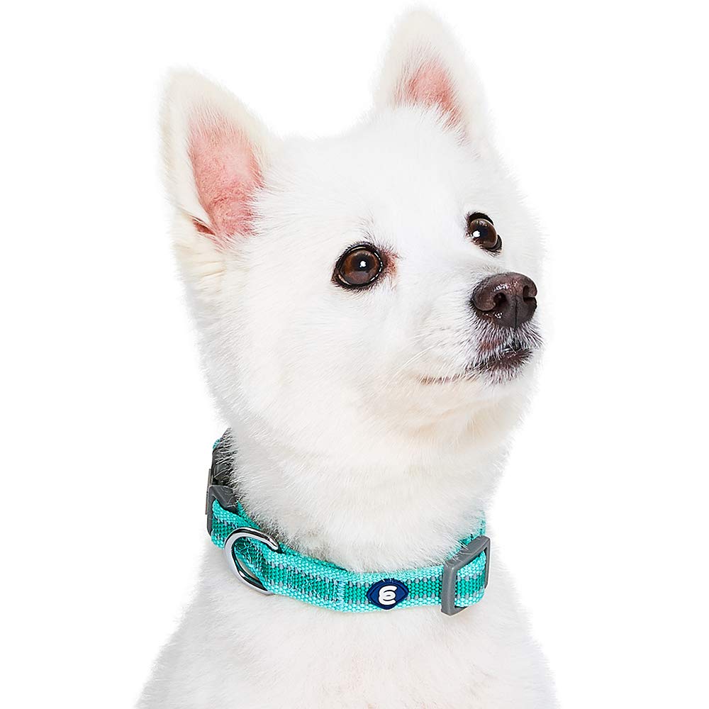 Blueberry Pet Essentials Reflective Back To Basics Adjustable Dog Collar, Minty Green, Medium, Neck 14.5'-20'