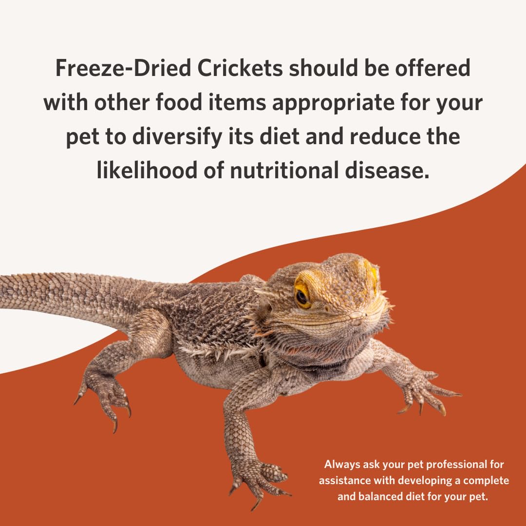 Flukers Freeze Dried Crickets for Reptiles, Packed with Protein and Essential Nutrients, 1 lb. Value Pack