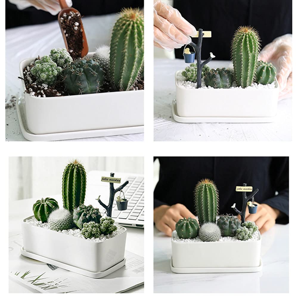 Avalution 6mm-8mm White Gravel Succulents and Cactus Bonsai DIY Projects Rocks White Onyx Plant Rocks Garden Outdoor Indoor Grav