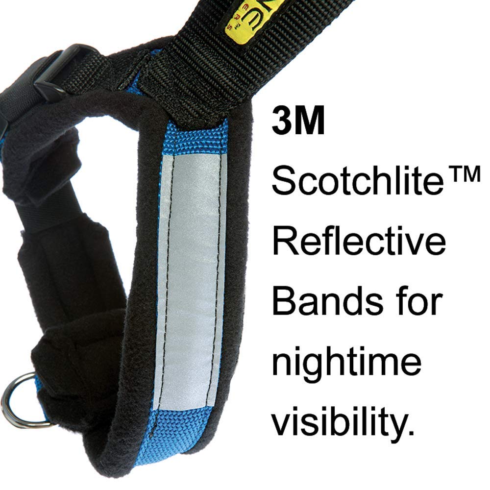 Alpine Outfitters Urban Trail Adjustable Harness - Small, Purple, Alloy Steel Material