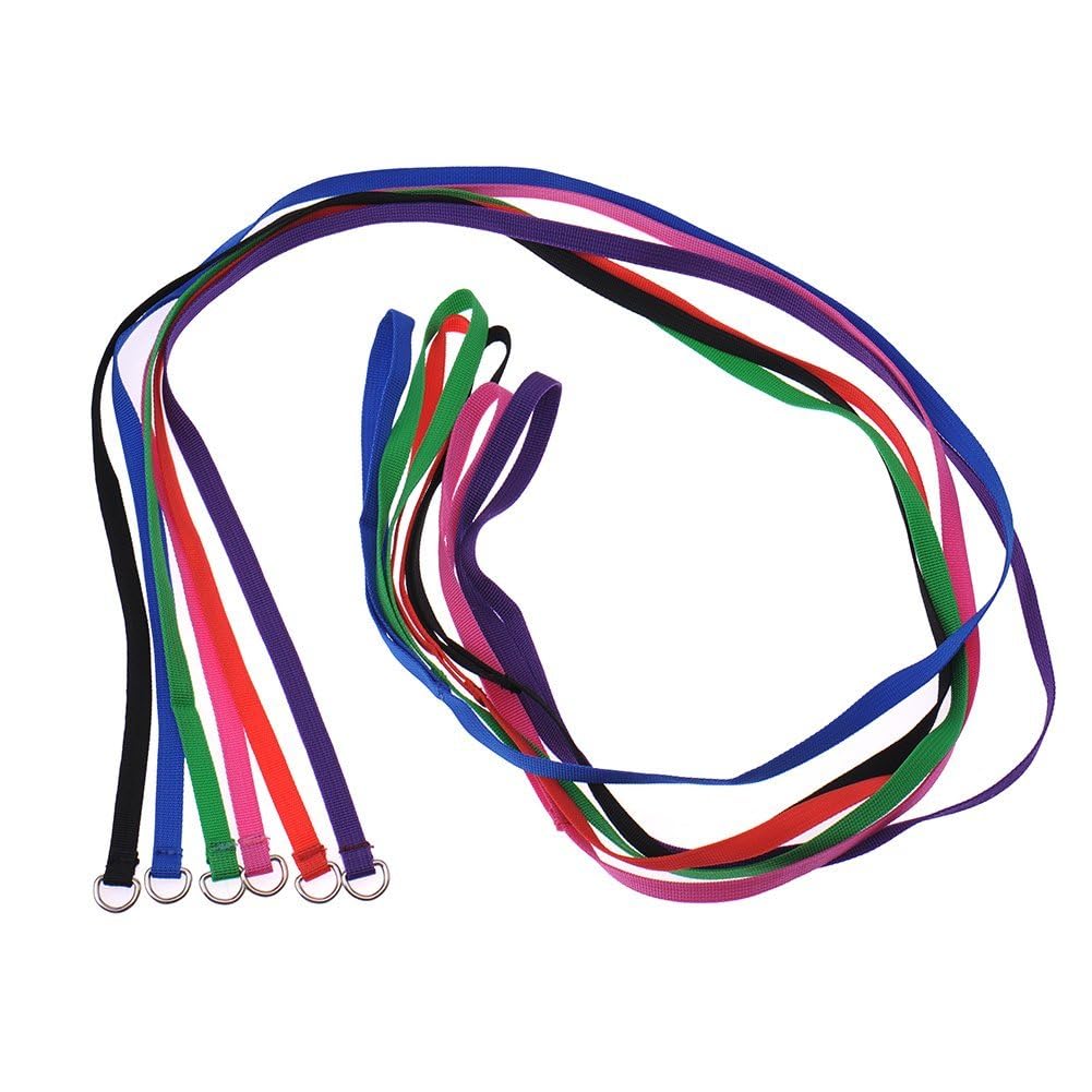Hypeety 6 Pcs Bulk Pack Slip Leads Dog Pet Grooming Kennel Small Animal Control Shelter Lead Leash