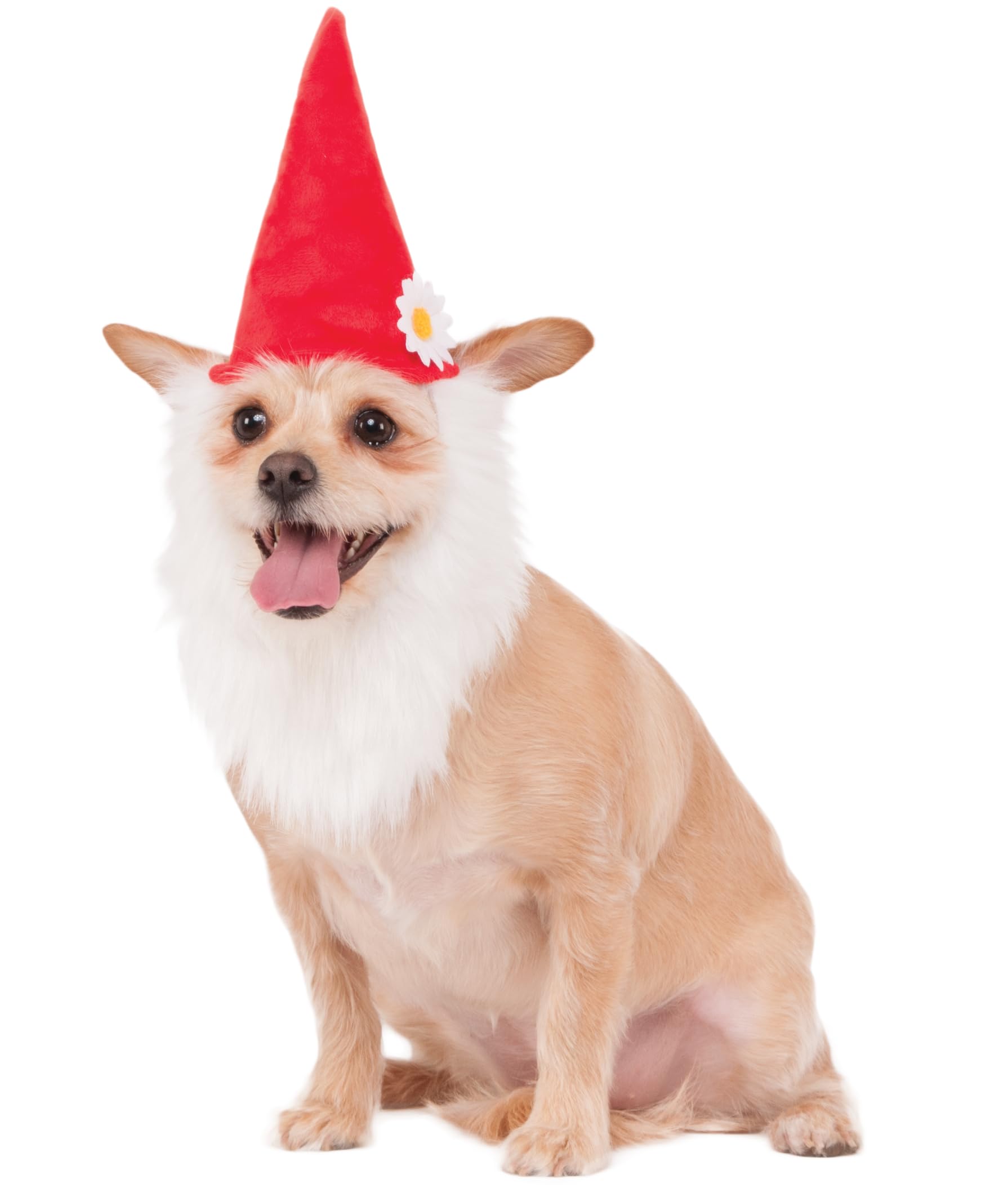 Rubie's Garden Gnome Hat with Beard for Pets, Medium/Large