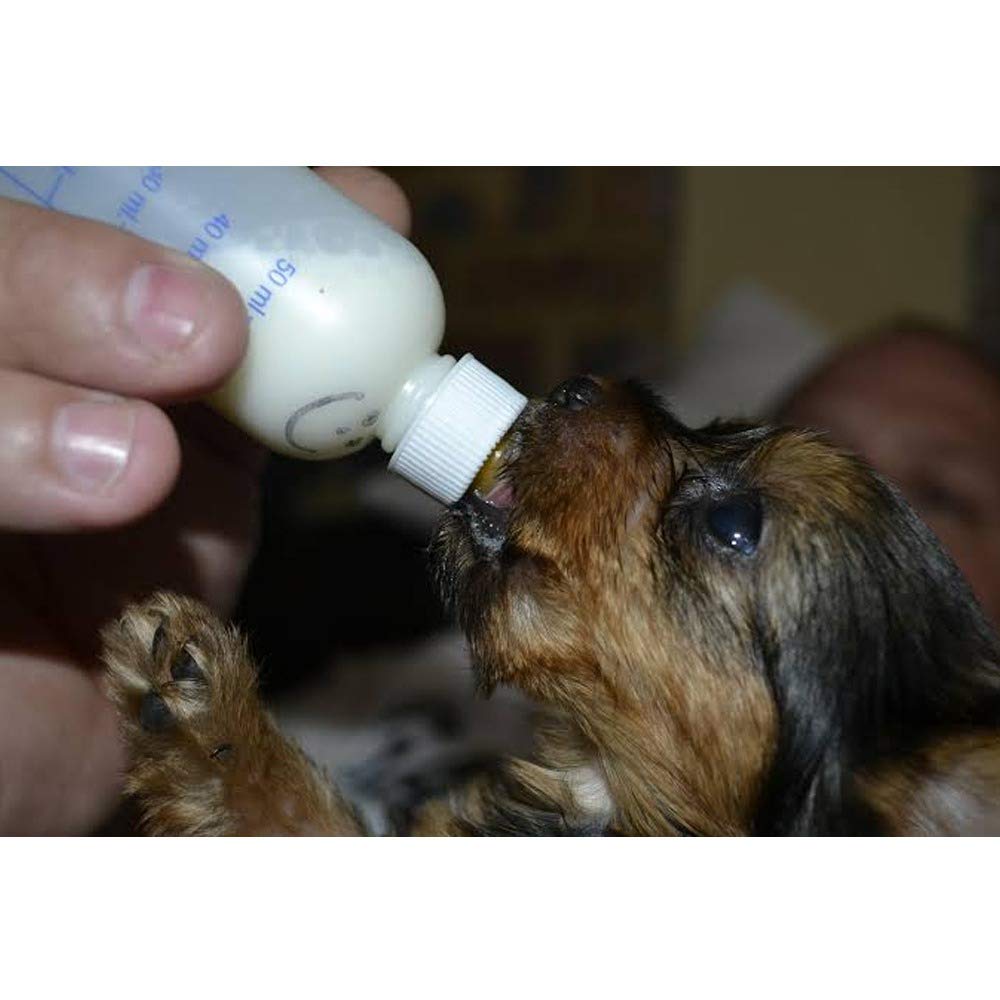 Four Paws Pet Products Nurser Bottles Counter Box 2oz (24Pc)