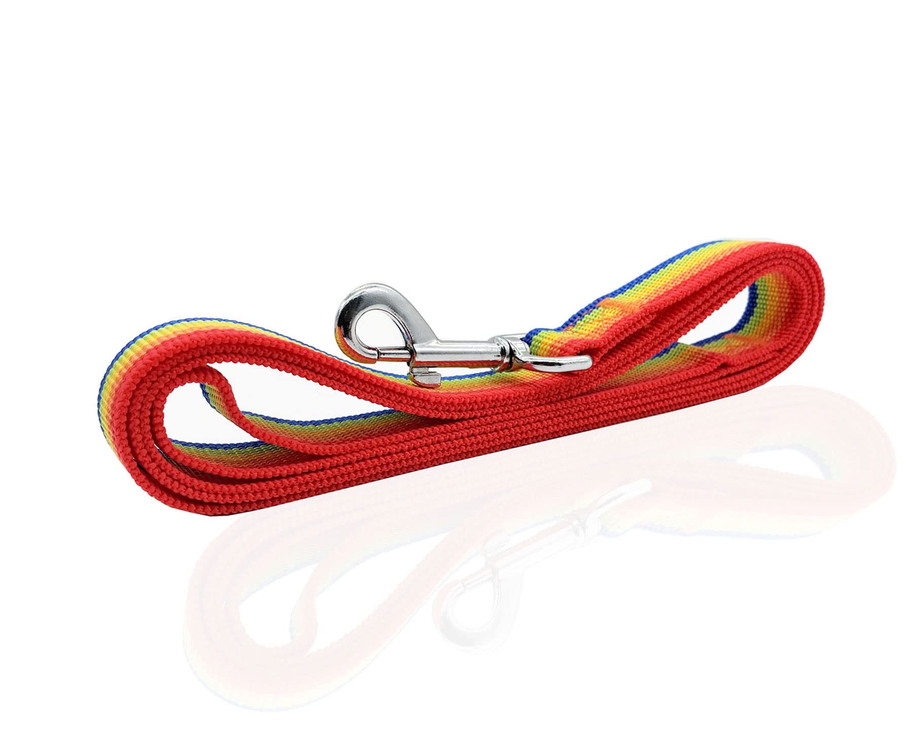 Nylon Dog Leash 4 Ft 5 Feet 6 Foot Long, Walking Training Dog Leashes For Medium Large Dogs, 1 Inch Wide (1'' X 4 Ft, Rainbow)