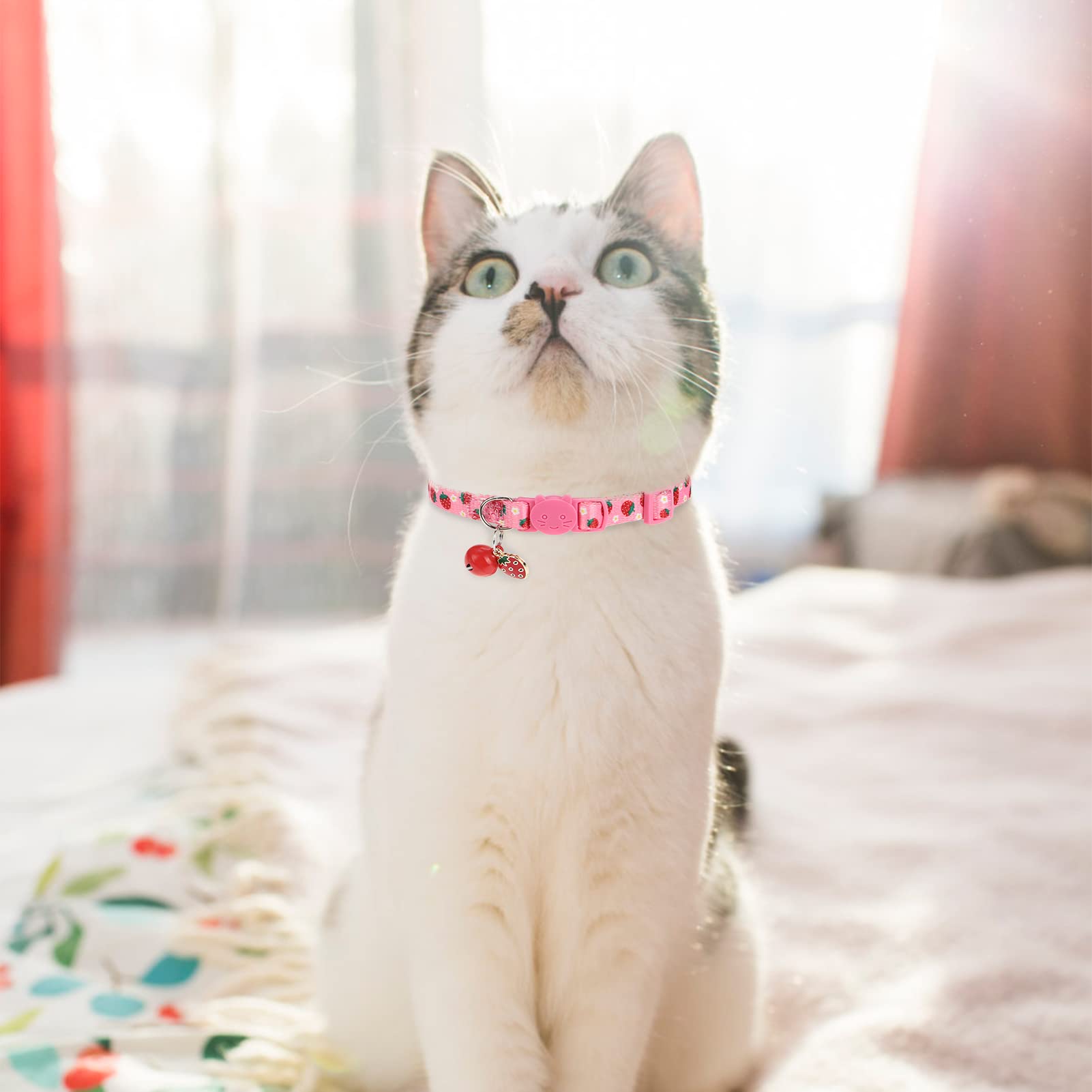 VKPETFR Breakaway Cat Collars - Adjustable 3 Pack with Bell & Cute Pendants, Polyester, Fruit Color, Ideal for Small Pets