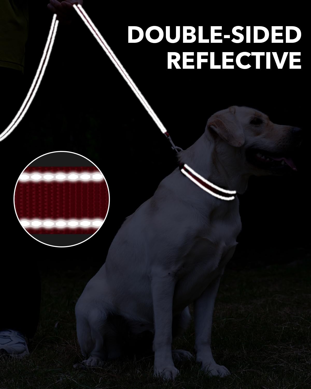 Taglory Nylon Dog Leash 6Ft, Soft Padded Handle Pet Reflective Leashes For Medium Large Dogs Walking & Training, Red