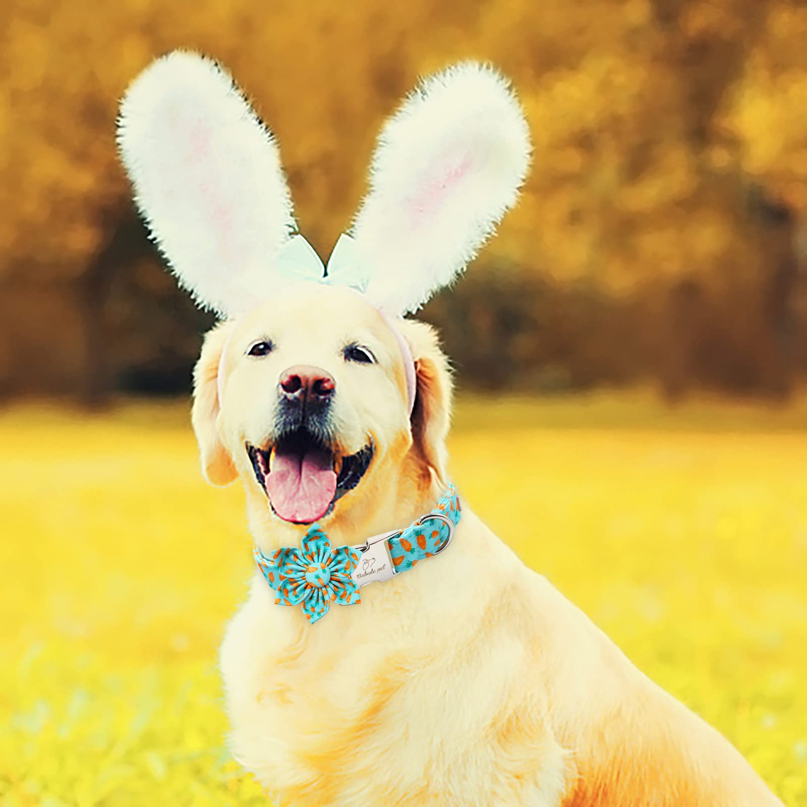 Babole Pet Dog Collar Easter Gift With Flower Tie,Carrot Male Dog Collar With Safety Metal Buckle Adjustable Puppy Collars For Small Medium Large Boy & Girl Dog,M-Neck 13.5'-22'