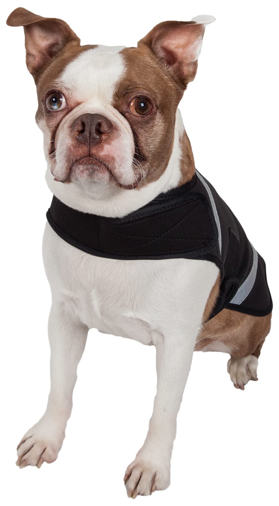 Extreme Neoprene Multi-Purpose Protective Shell Dog Coat(D0102H7LB5Y.)